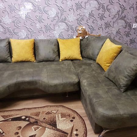 2Х Комнатная С Ремонтом В Центре.Renovated, Center Apartment Khmelʼnytsʼkyy Exterior foto