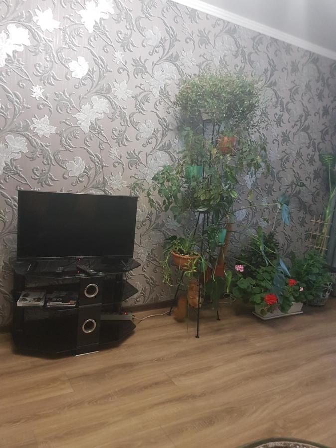 2Х Комнатная С Ремонтом В Центре.Renovated, Center Apartment Khmelʼnytsʼkyy Exterior foto